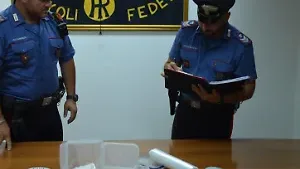 Oltre 30 grammi di cocaina nella cassaforte: arrestato un giovane