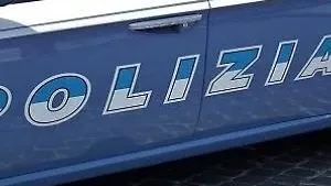 Evade dalla comunità di recupero e aggredisce la polizia per sfuggire al controllo