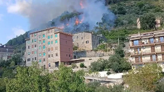 Incendio nella pineta, paura in paese