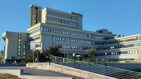 Spia zia e cugina con il drone