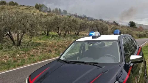 Alatri – Incendio di residui vegetali si estende al bosco e distrugge pini ed ulivi: scatta una denuncia