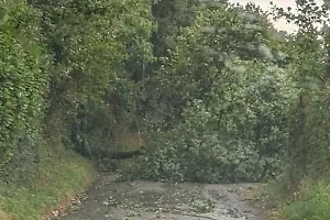 Grandine e forti raffiche di vento: disagi in diverse zone della Ciociaria