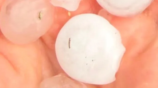 Bomba d’acqua su Cassino e Cassinate. Danni e alberi caduti