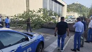 Crolla un albero e travolge due persone