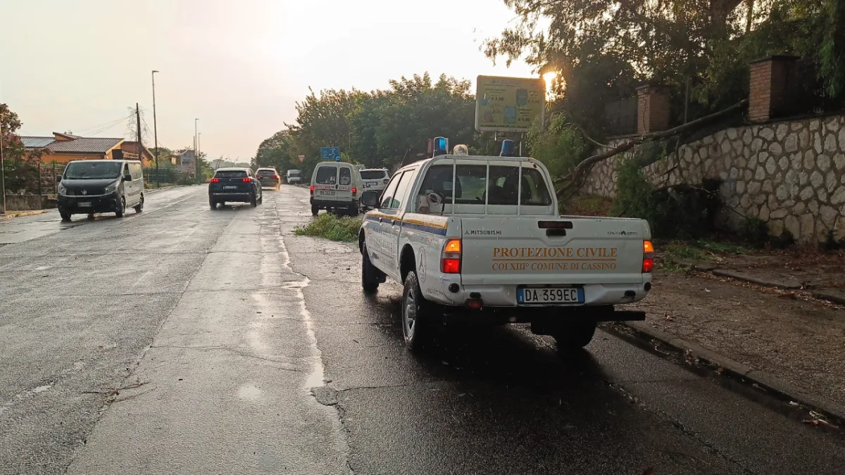 Cassino, temporali e vento abbattono gli alberi: paura sulla Casilina e disagi in centro