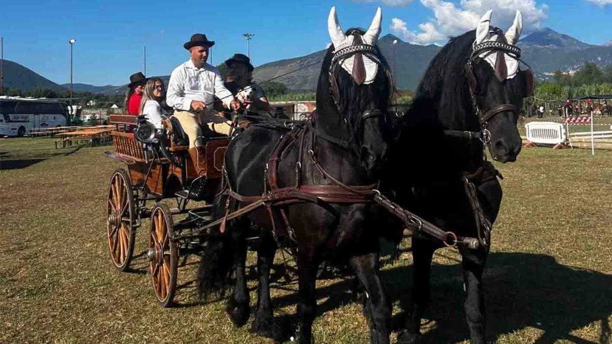Ceccano a Cavallo: in giro su 3 carrozze e 60 cavalli