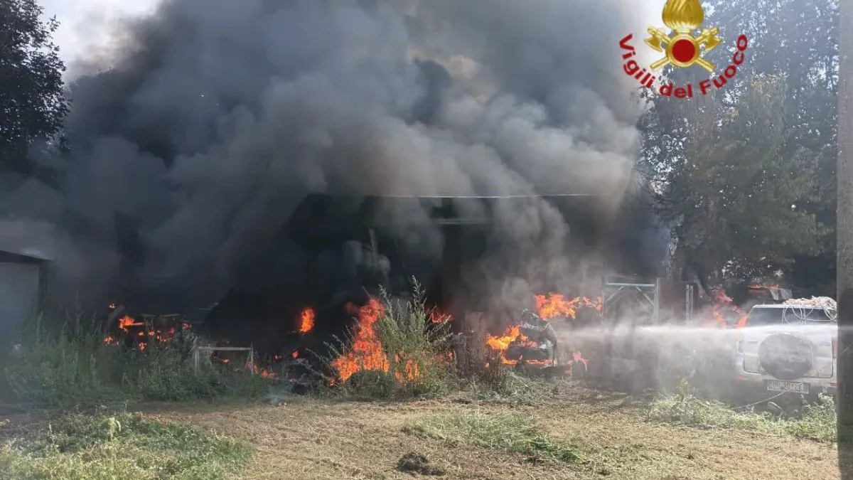 Valmontone – Fiamme in un capannone: sul posto diverse squadre di vigili del fuoco