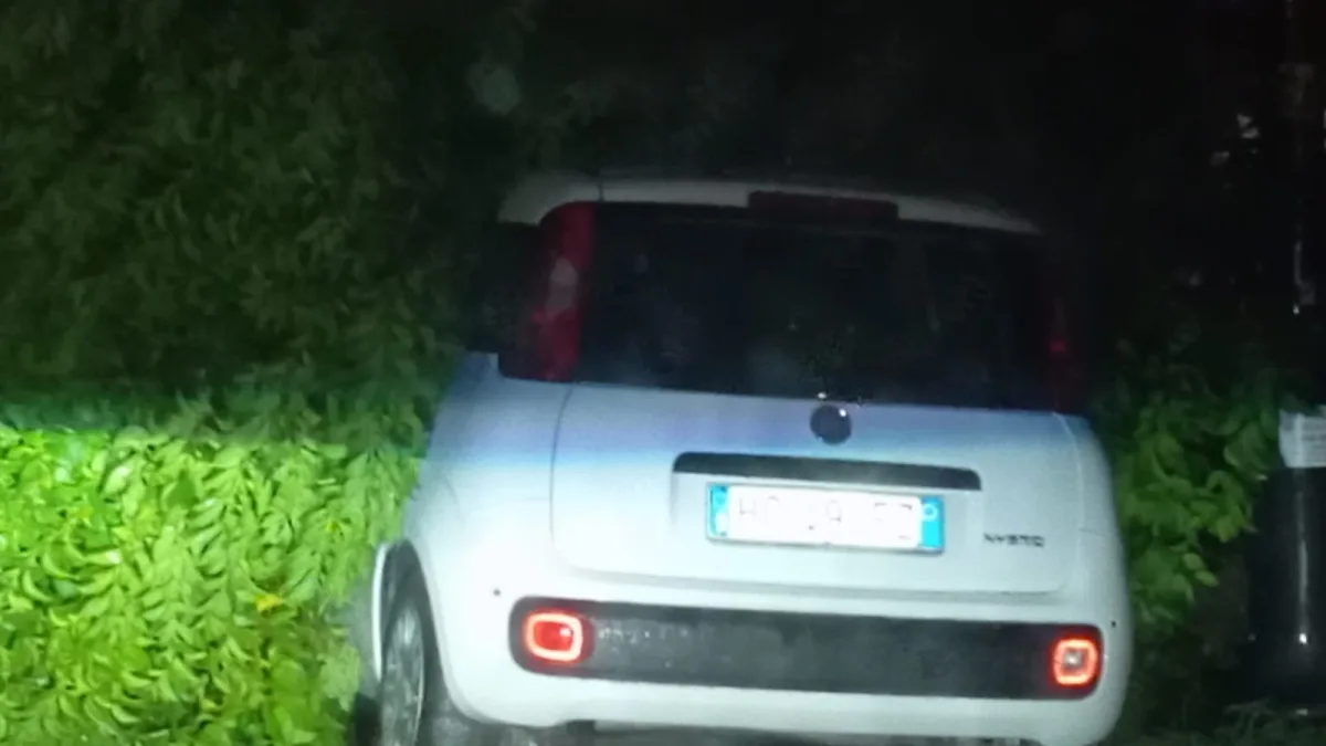 Cassino (FR) – Maltempo, cadono due alberi in via Pascoli. Polidoro: “Servono controllo e manutenzione”