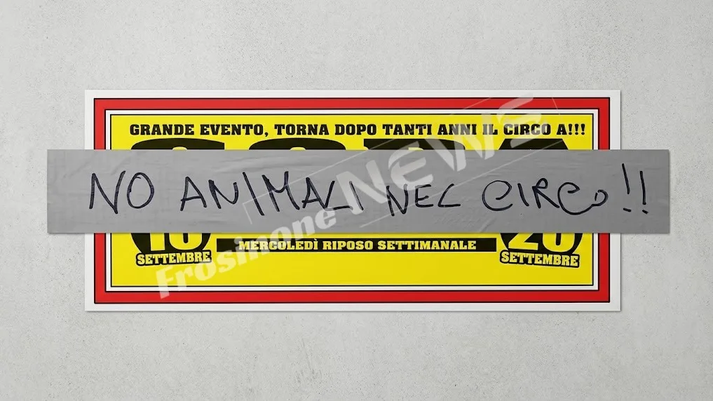 Sora – Torna il circo e scoppia la polemica: vetrine imbrattate con scritte animaliste