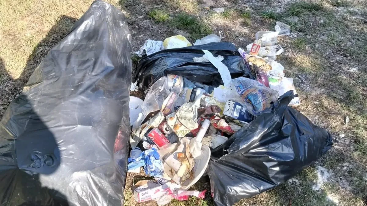 Paliano, rifiuti abbandonati a bordo strada: identificato e sanzionato il responsabile