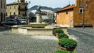 Lite fuori dal bar, arrivano due Daspo Willy e un foglio di via