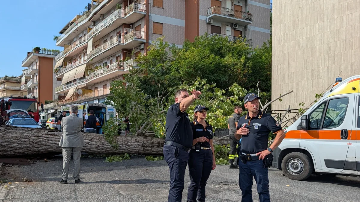 Cassino (FR) – Pioppo crollato su via Di Biasio, il rettore: “I ragazzi stanno decisamente meglio”