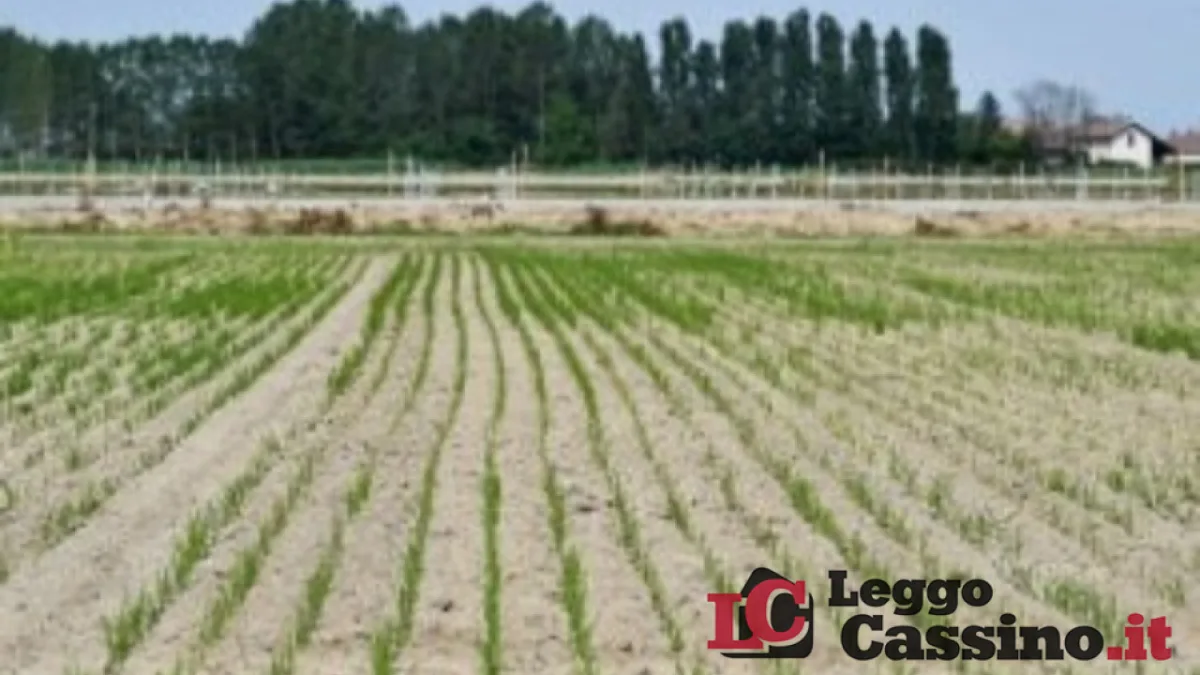 Consorzio di Bonifica Litorale Nord: chiesto un tavolo di crisi in Prefettura